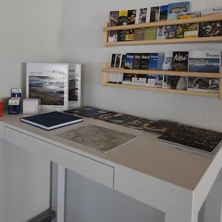 Gemeindematte * Meiringen